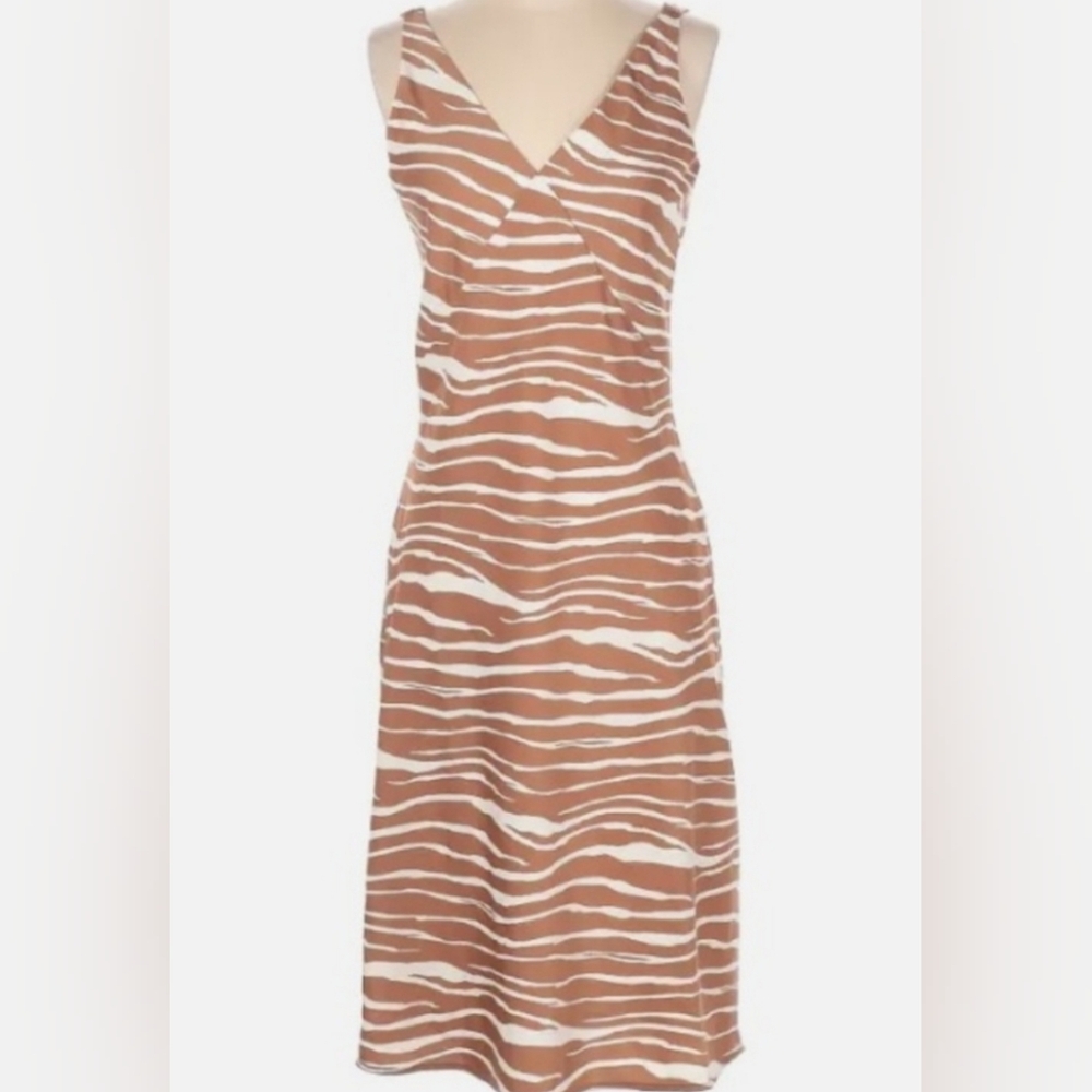EUC A New Day Zebra Print Slip Dress